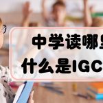 IGCSE