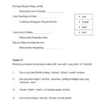 Standard-2-Enhanced-Paper-Sample-Page-2