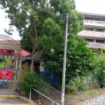 SJKC Cameron, Ringlet, Pahang 2